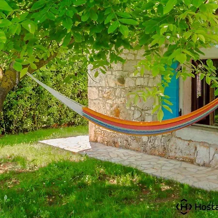 Cypress By Istrian Country